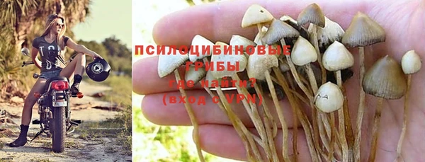 ешки Баксан