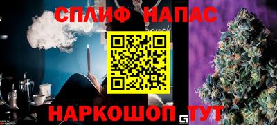 МДПВ Ливны