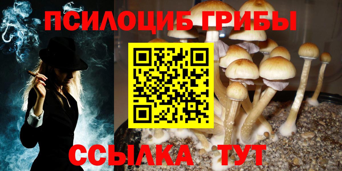 Псилоцибиновые грибы Psilocybe  Вход с VPN  Пыть-Ях 